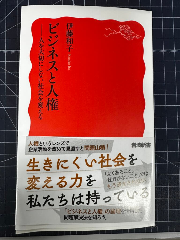 ビジネスと人権（伊藤和子著・岩波新書）の表紙